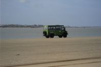 2005-03-27-015-Donana-National-Park-Bus