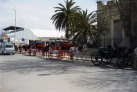 2005-03-27-019-Sanlucar-de-Barrameda