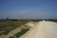 2005-03-29-020-Panorama