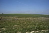 2005-03-29-022-Panorama