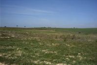 2005-03-29-023-Panorama