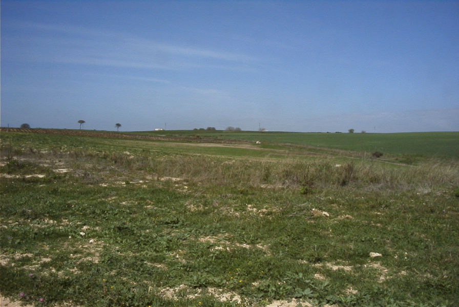 2005-03-29-023-Panorama