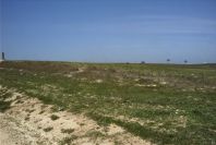2005-03-29-024-Panorama