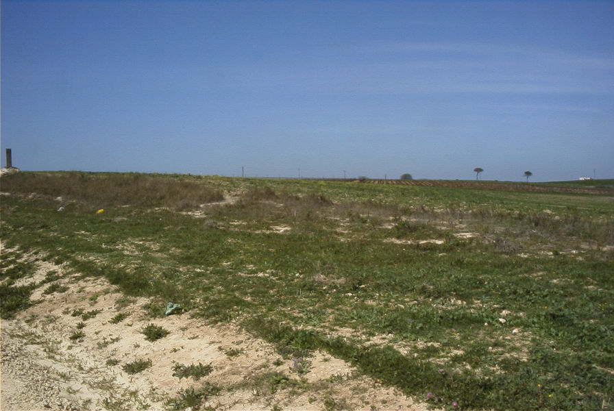2005-03-29-024-Panorama