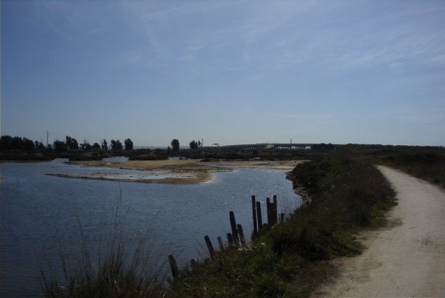 2005-03-30-011-Marisma-de-Celina