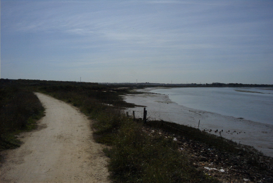 2005-03-30-012-rio-San-Pedro