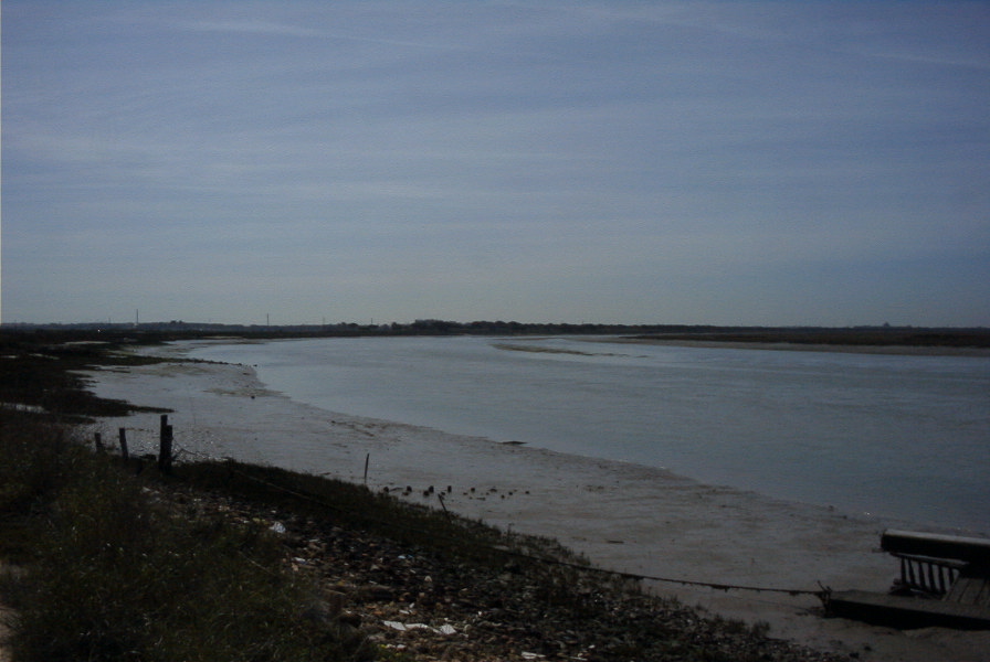2005-03-30-013-rio-San-Pedro