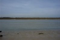 2005-03-30-015-rio-San-Pedro