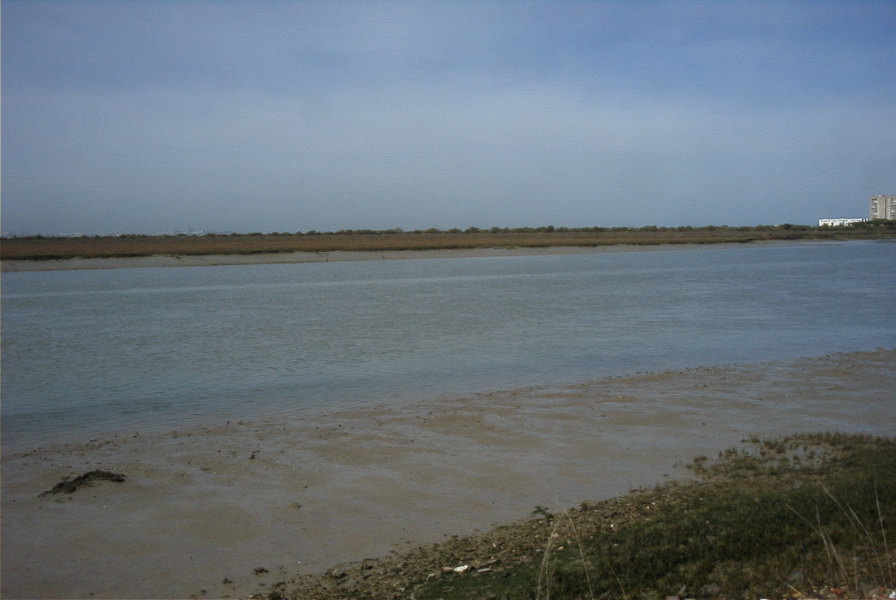 2005-03-30-016-rio-San-Pedro