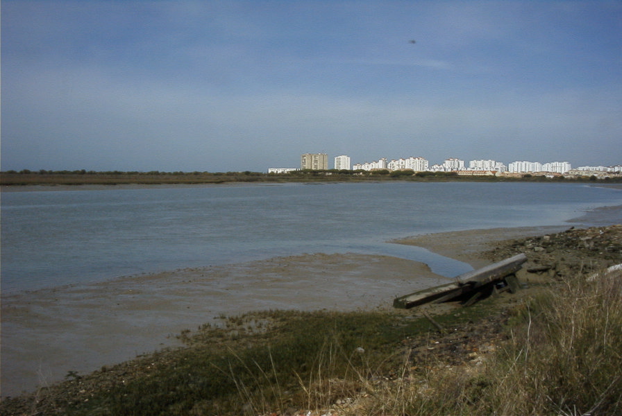 2005-03-30-017-rio-San-Pedro