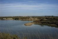 2005-03-30-020-Marisma-de-Celina