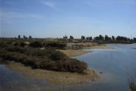 2005-03-30-021-Marisma-de-Celina