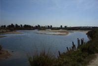 2005-03-30-022-Marisma-de-Celina