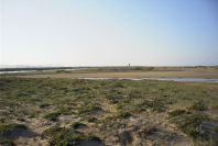 2005-04-04-013-Conil