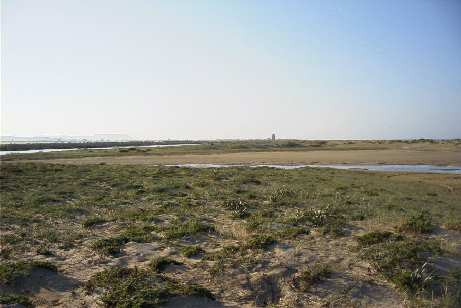 2005-04-04-013-Conil