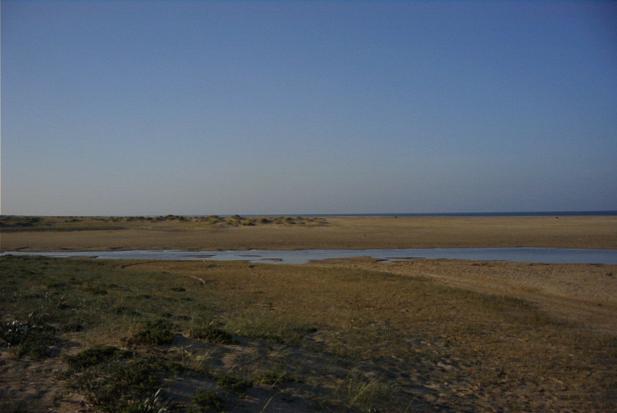 2005-04-04-014-Conil