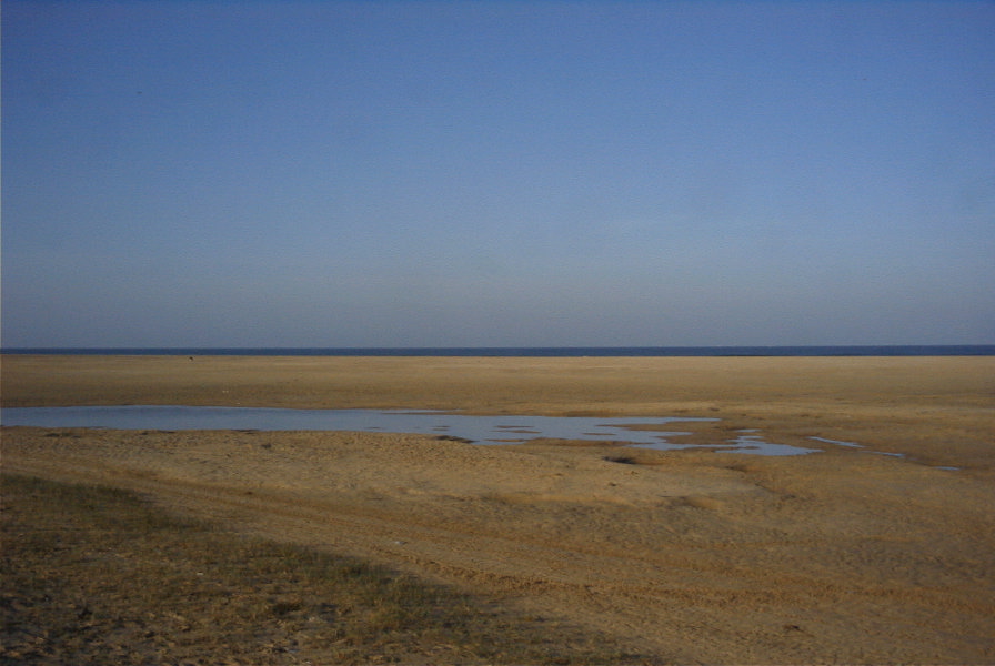 2005-04-04-015-Conil