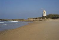 2005-04-04-019-Torre
