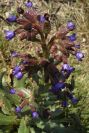 2005-04-04-021-unknown