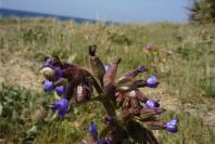 2005-04-04-022-unknown