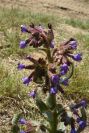 2005-04-04-023-unknown