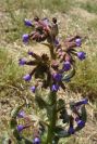2005-04-04-024-unknown