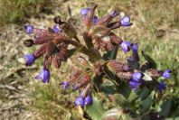 2005-04-04-026-unknown
