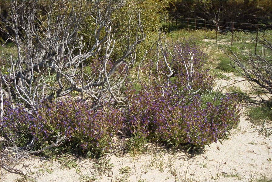 2005-04-04-027-unknown