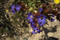 2005-04-04-028-unknown