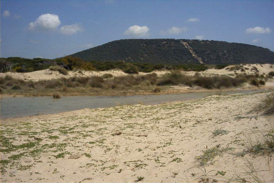 2005-04-04-030-Cape-Trafalgar