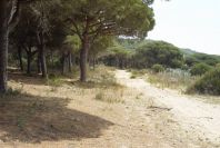 2005-04-04-040-Acantilado-de-Barbate