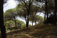 2005-04-04-046-Acantilado-de-Barbate