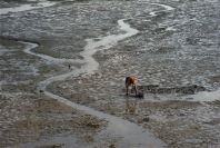 2005-04-05-011-Rio-Barbate