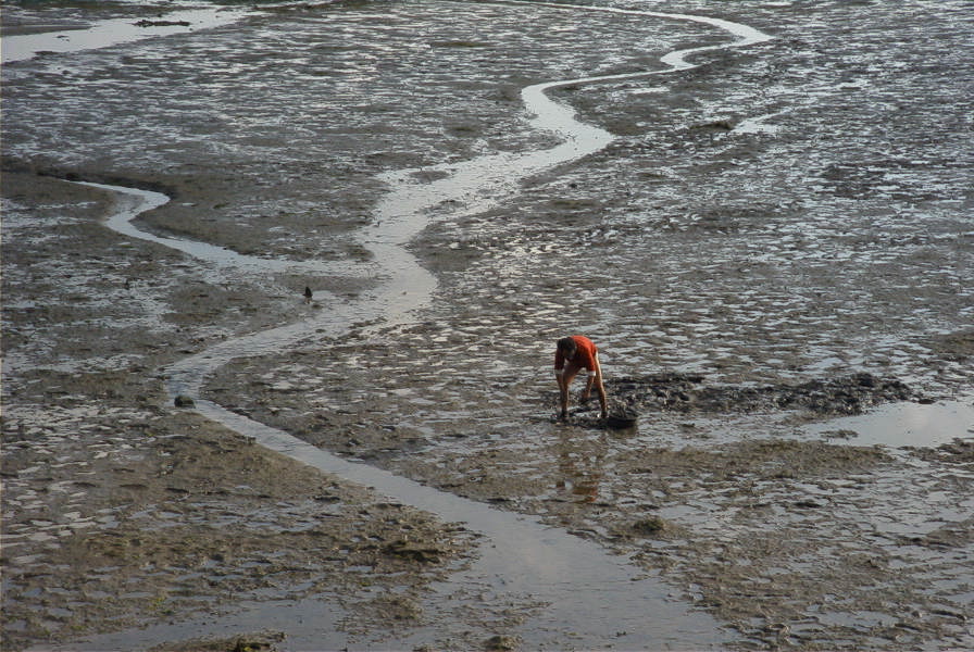 2005-04-05-011-Rio-Barbate