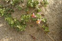 2005-04-05-015-Unknown