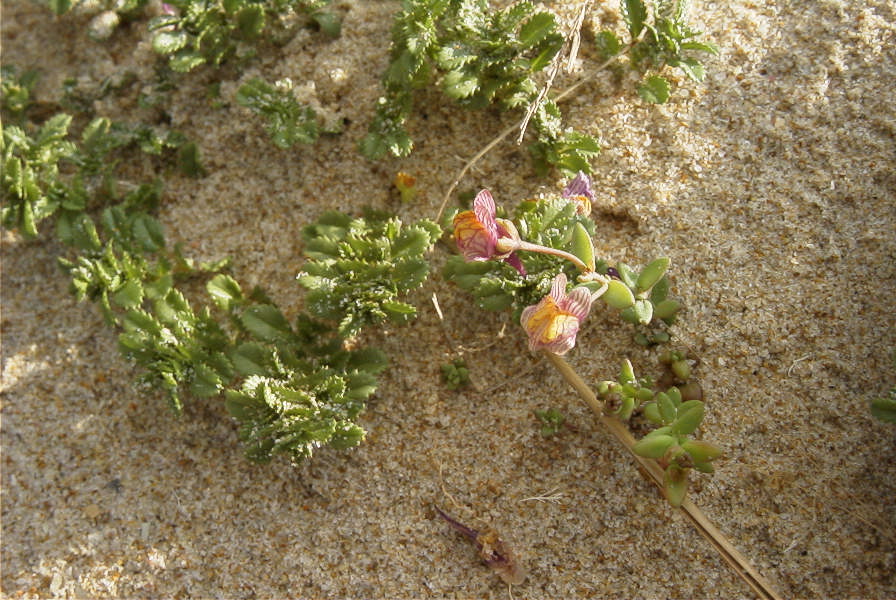 2005-04-05-015-Unknown