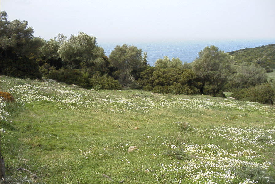 2005-04-06-016-Cross-country