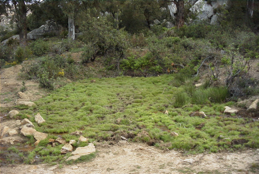 2005-04-06-017-Spring