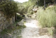 2005-04-06-043-Path
