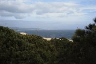 2005-04-06-045-Dune-growth