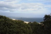 2005-04-06-046-Dune-growth