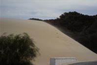 2005-04-06-052-Dune-growth