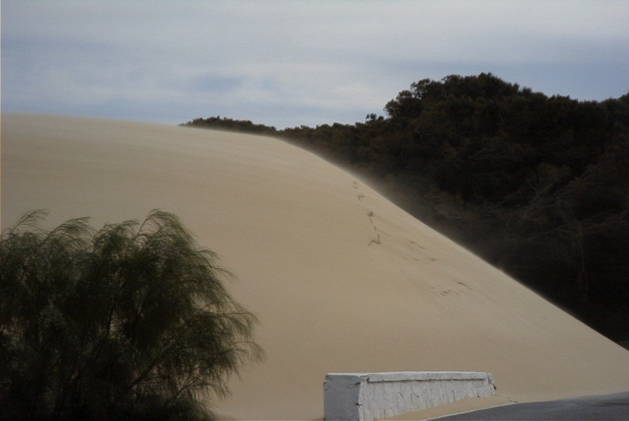 2005-04-06-052-Dune-growth