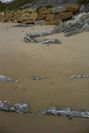 2006-02-12-008-Stones