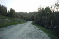 2006-02-13-005-Track