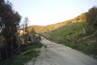 2006-02-13-006-Track
