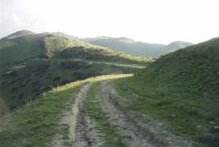 2006-02-13-007-Track
