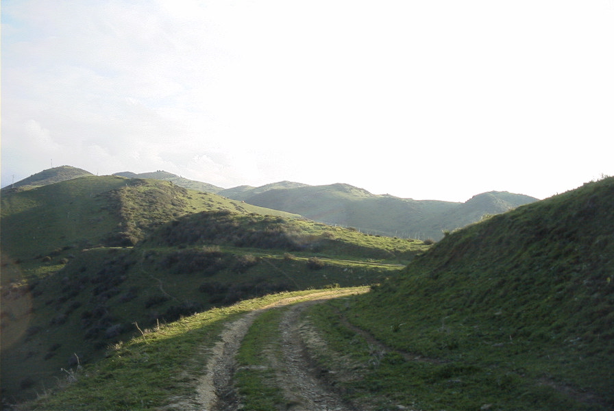 2006-02-13-008-Track