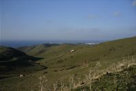 2006-02-13-011-View