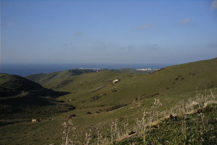 2006-02-13-011-View